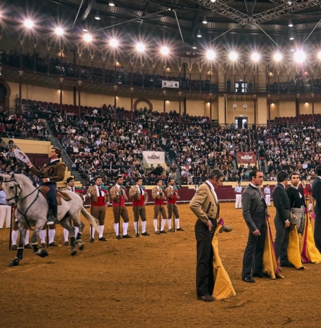 Festival Taurino